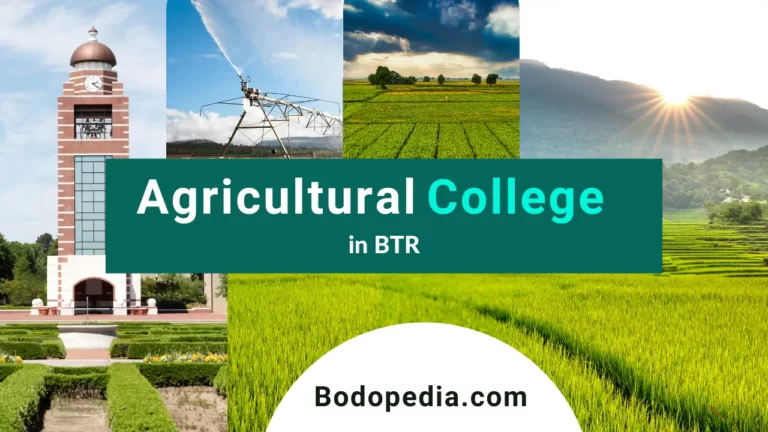 Agriculture College in BTR