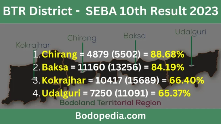 BTR District Wise SEBA 10th Result 2023