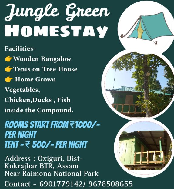 Jungle green homestay raimona