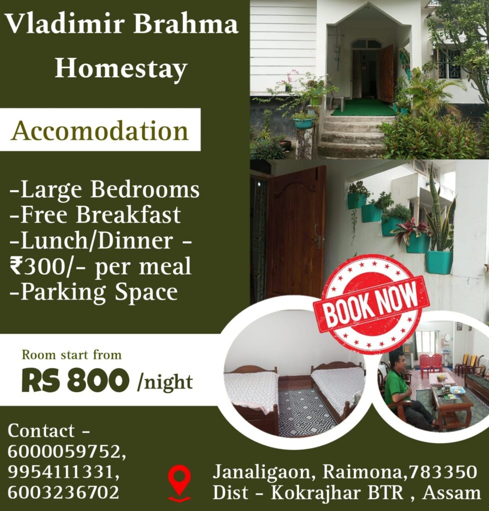 Vladimir Brahma Homestay